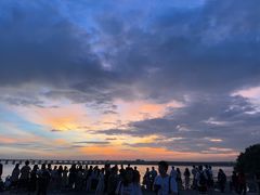 -宝安西湾红树林湿地公园