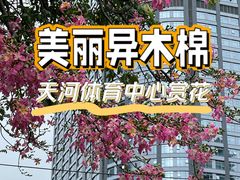 -天河体育中心
