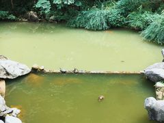 -杭州西湖风景名胜区-三生石