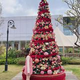 🎄深圳圣诞拍照打卡地