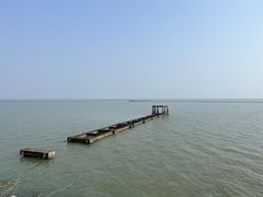 -贡湖湾湿地公园