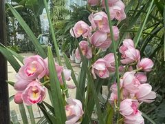 -国家植物园南园