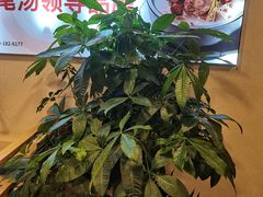 -大田牛尾汤(幸福河市场店)