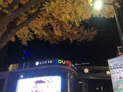 -乐天免税店(明洞店)