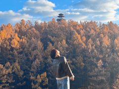 -萨尔浒风景区