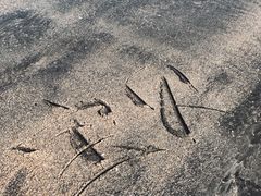 -台山黑沙湾海浴场