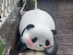 -轩客会(熊猫书店)