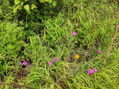 -百里峡七彩艺术小镇