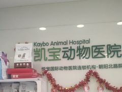-悦宠凯宝动物医院·牙科·皮肤科(朝阳北路店)