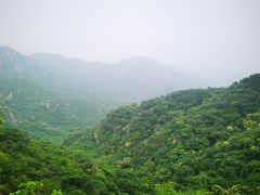 -大岭沟猕猴桃谷风景区