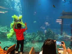 -涛·海底餐厅·美人鱼·自助餐·海底隧道(三亚海棠湾洲际度假酒店)