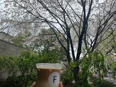 -Fridi Patisserie Cafe