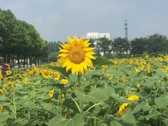 -南京信息职业技术学院