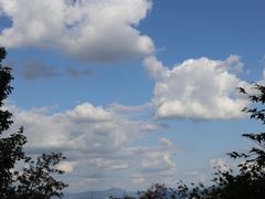 -拈菜(观音桥阳光世纪店)