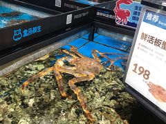 水产区-盒马鲜生(岭南新世界店)