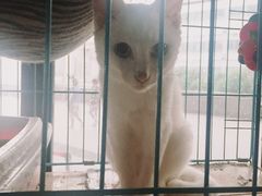 -赢吧Bliss音乐酒吧
