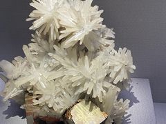 -湖南省地质博物馆