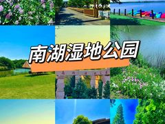 -南湖湿地公园