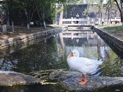 -三里河公园