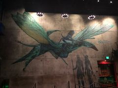 -奥兰多迪士尼动物王国乐园