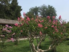-拿渡·水煮鱼 麻辣香锅(西单大悦城店)