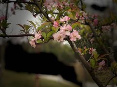 -眉山湿地公园(东坡区)