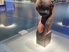 -信阳博物馆