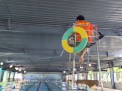 -福建省奥林匹克体育中心游泳馆