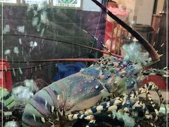 -寻味顺德·南记酒家·传统顺德菜·鱼生(广源路店)