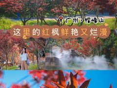 -广州市帽峰山景区