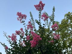 -城市运动公园(未央区)