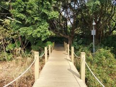 -华侨城湿地公园