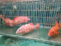 -滋粥楼·顺德菜海鲜茶点(金融城店)