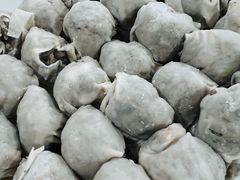 -章记正宗南岗鱼蛋火锅