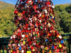 -西双版纳原始森林公园