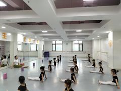 -西安小天鹅艺术团(金花路校区)