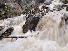 -火炉山森林公园