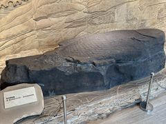 -白鹤梁水下博物馆