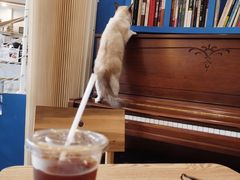 -益杯半舍·Yippee Barseh(宇宏健康花城店)