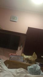 -复旦大学附属妇产科医院(杨浦院区)