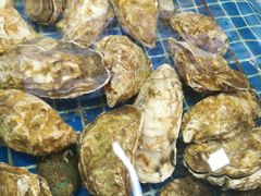 -西涌国际滨海旅游区