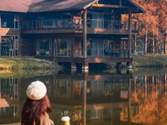 -黄海国家森林公园