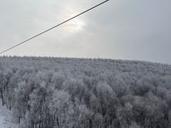 -多乐美地滑雪场