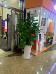 -云南吴氏嘉美医疗美容医院