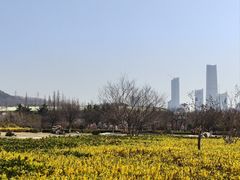 -汇泉广场