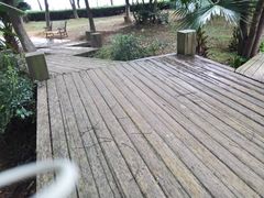 -燕鸣岛