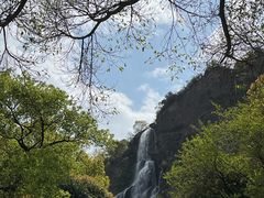 -花园菜市场