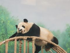 -杭州动物园