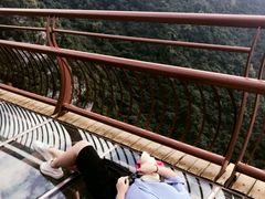 景点-少华山国家森林公园