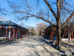 -野鸭湖国家湿地公园